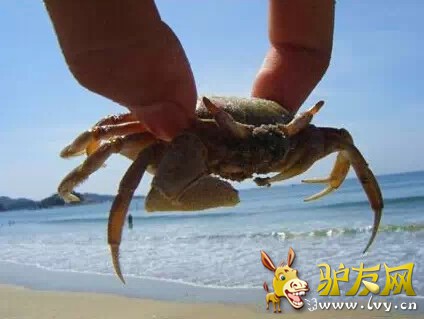 0.webp (2)_����.jpg